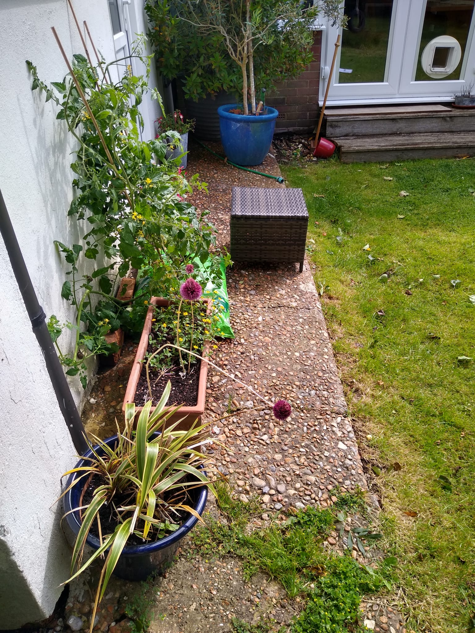 brickwork example eastbourne 18